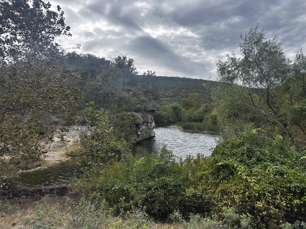 A small, wooded spot by the river