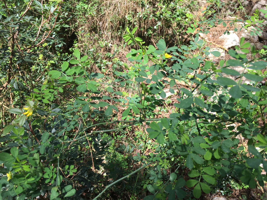 50900D63-B53A-4F21-9782-0BF0DCA6FF2F