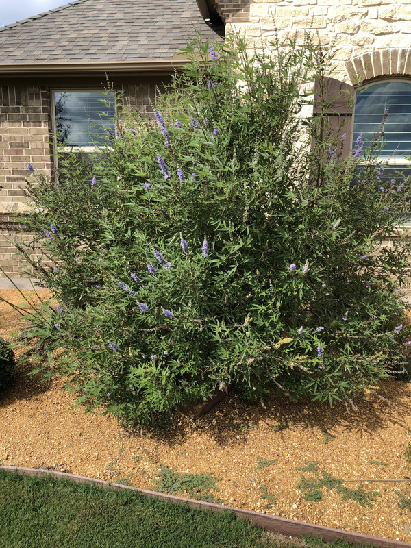 CE162F20-C533-41F6-8838-1CAB1F56E06F