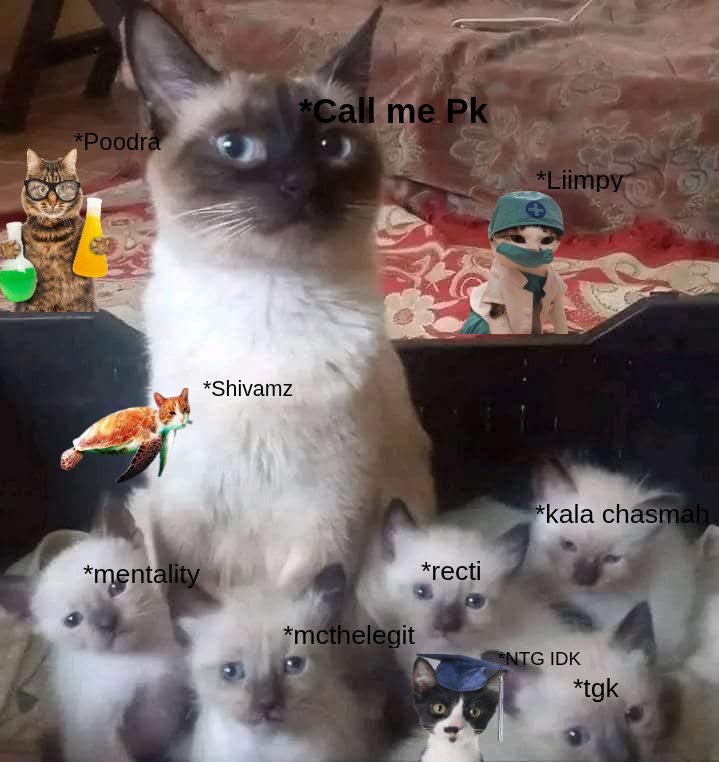 final.png