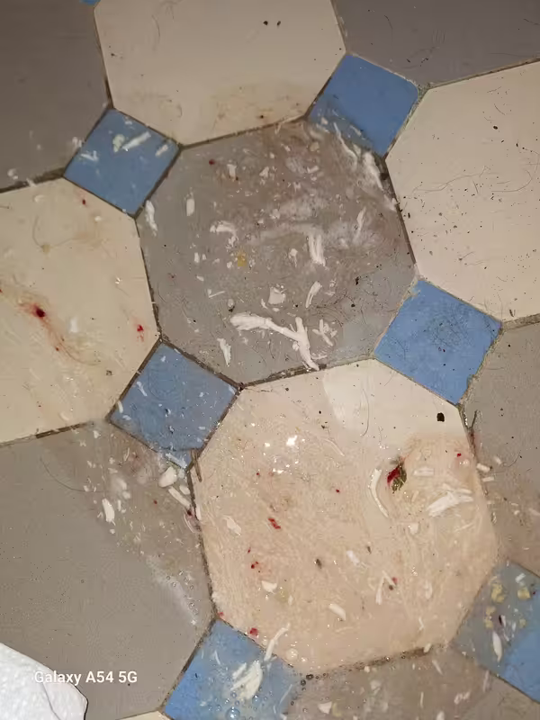 [Image: 20241213-101203.avif]