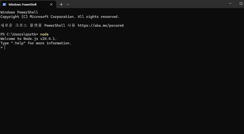Node.js 설치 확인 성공
