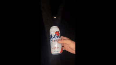UNUSUAL-MEMES-COMPILATION-V200.gif