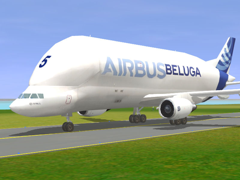 beluga.jpg