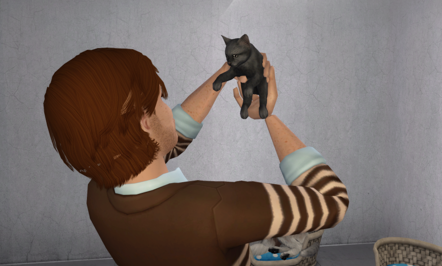 Sims2-EP9-RPC-2021-04-22-21-48-32-80