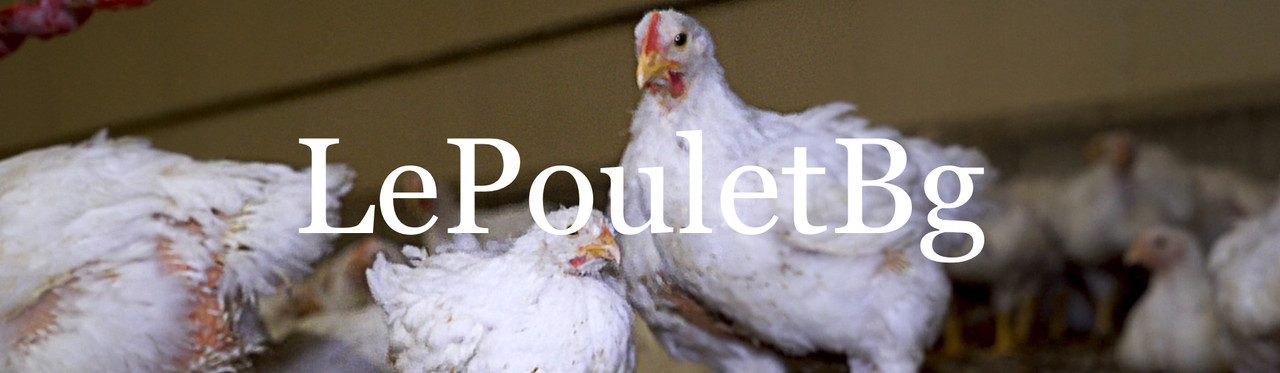 D5584FC5-7892-492F-A84B-609A0AA17965