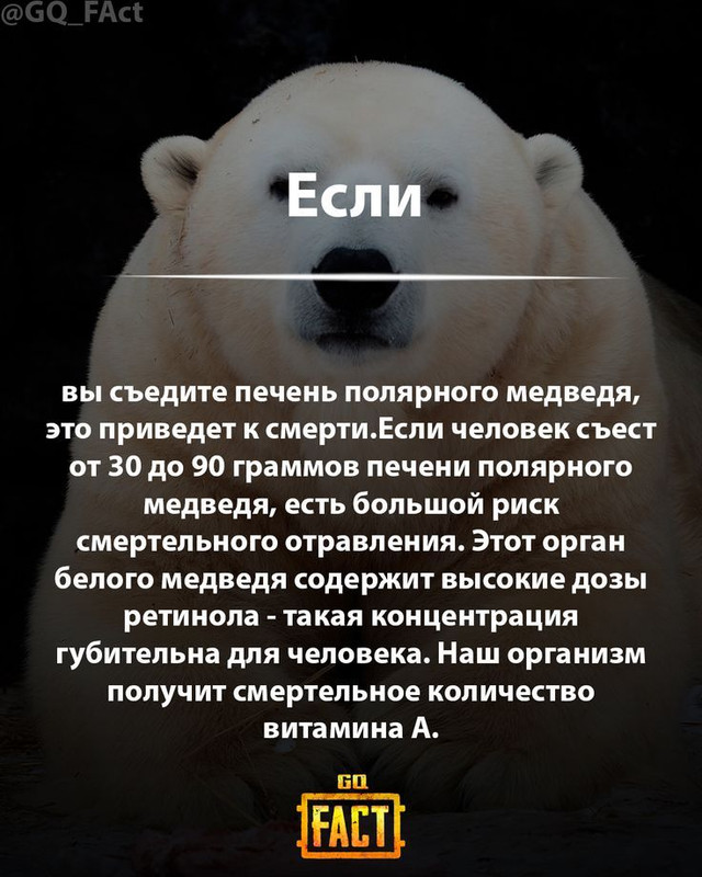 [Изображение: 42450068dd6f588906854257185cb7a7.jpg]