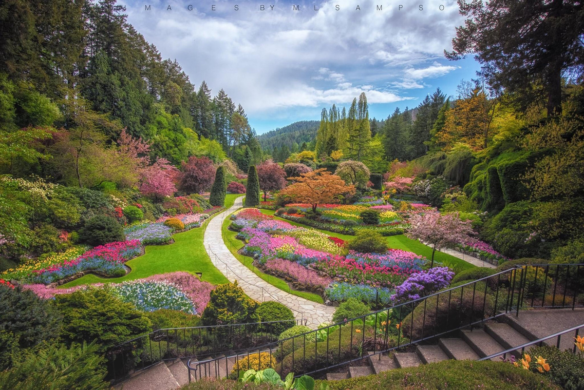 Butchart-Gardens.jpg