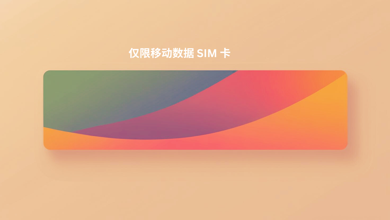 仅限移动数据 SIM 卡