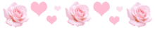 pink 517