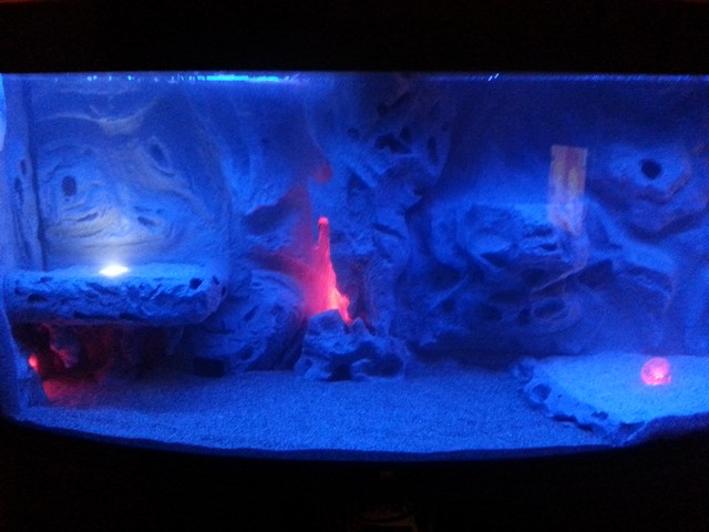 2014-03-27 19.49.05 (Copia)