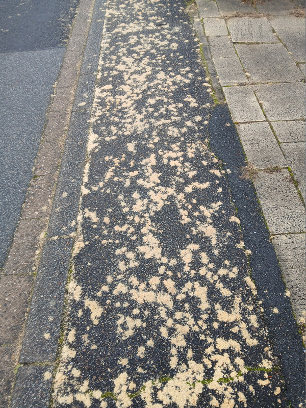 20260115-100028.jpg