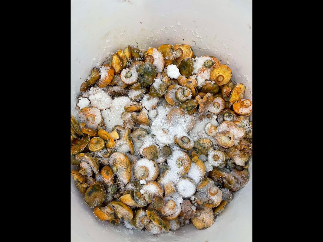 2EBD6193-3054-48D0-BA1B-17B0294C9CFB