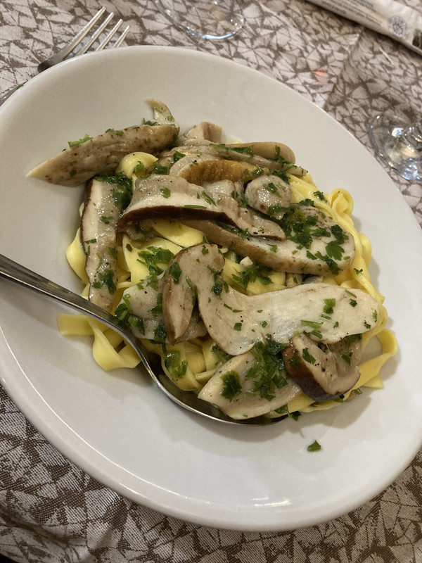 D3CFD912-CA5C-4213-88FE-BD606CD59E19