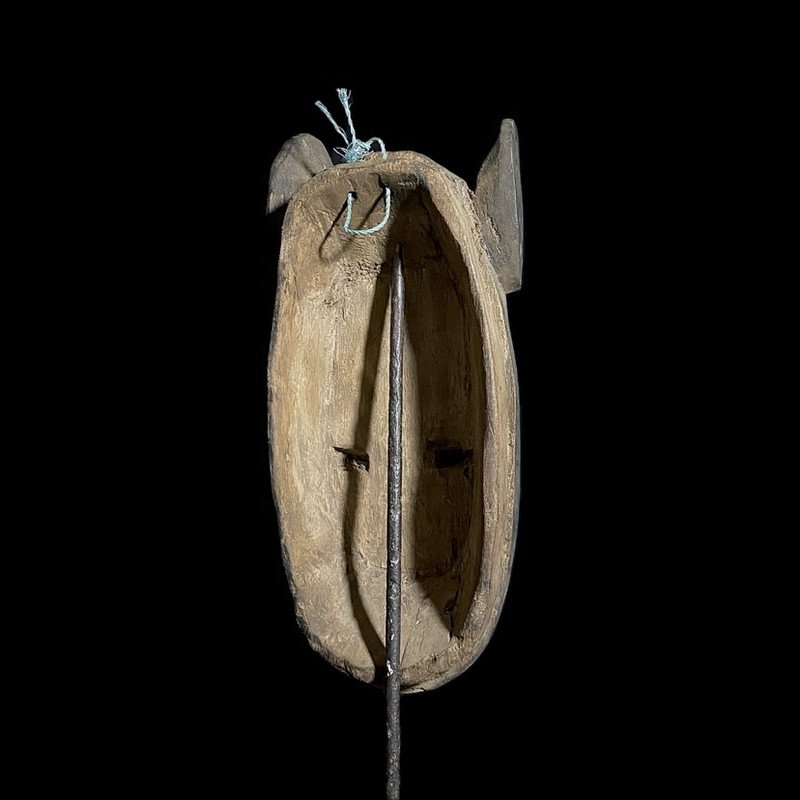 large image 9
