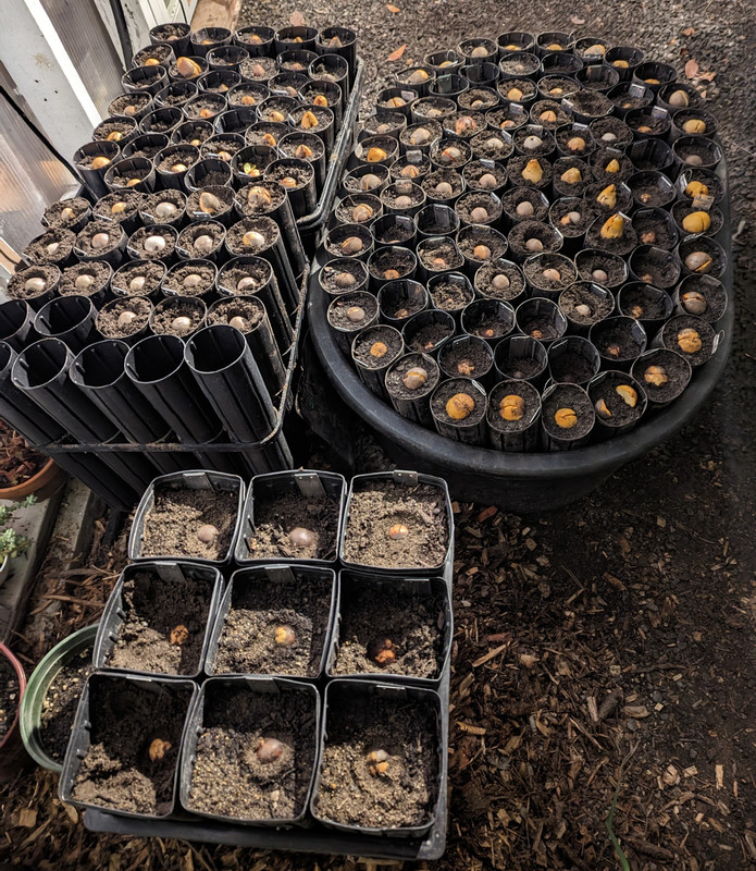 PXL_20231118_074647416.NIGHT