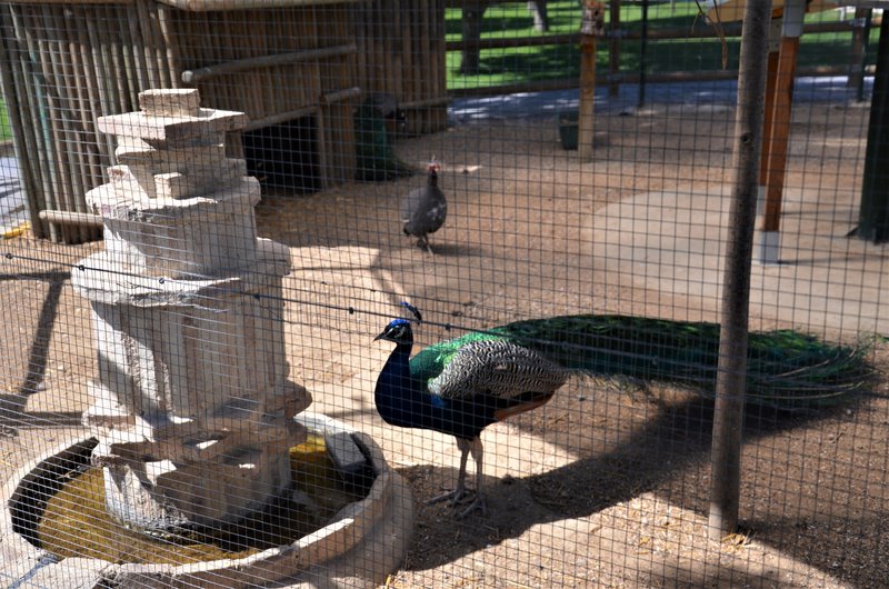 PARQUE EUROPA-2010/2015/2021-MADRID - Paseando por España-1991/2017 (15)