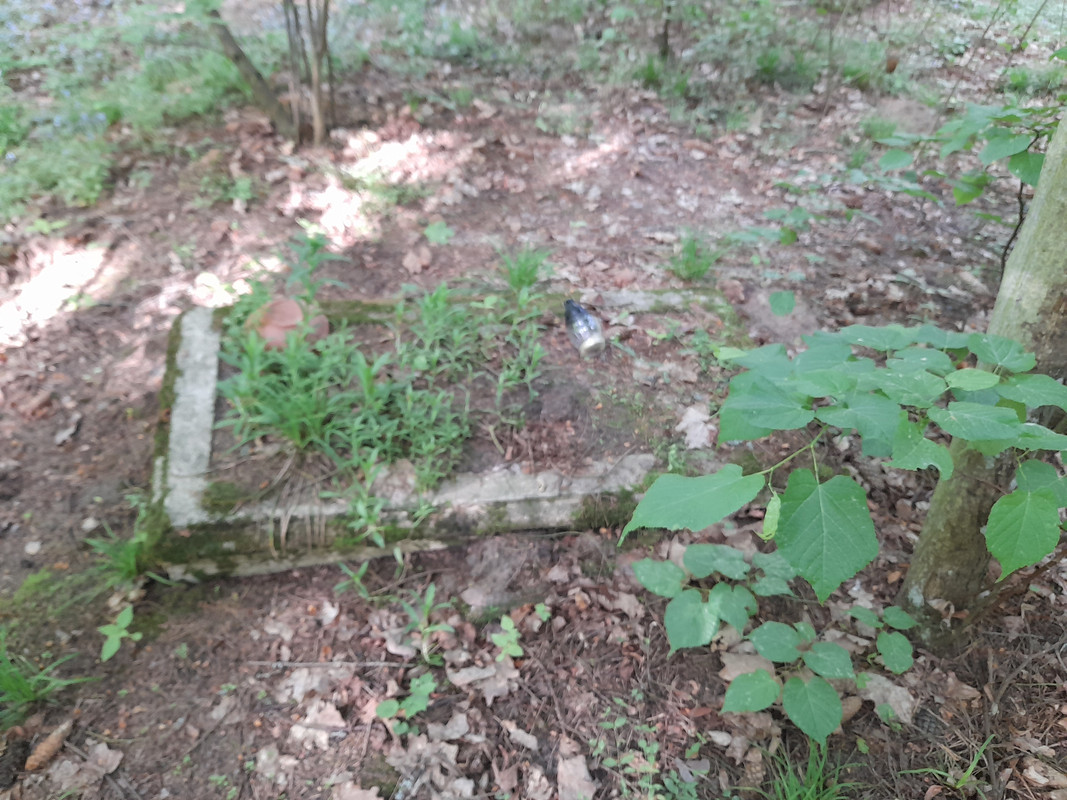 04.09 - 20210602_073106 (Aldona)