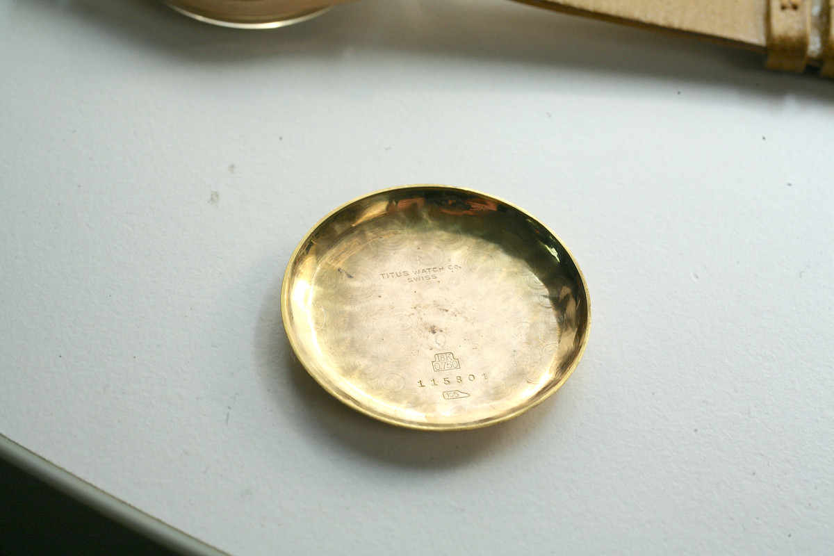 IMG-6407.jpg