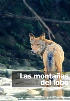 1043855 - Las Montañas del Lobo