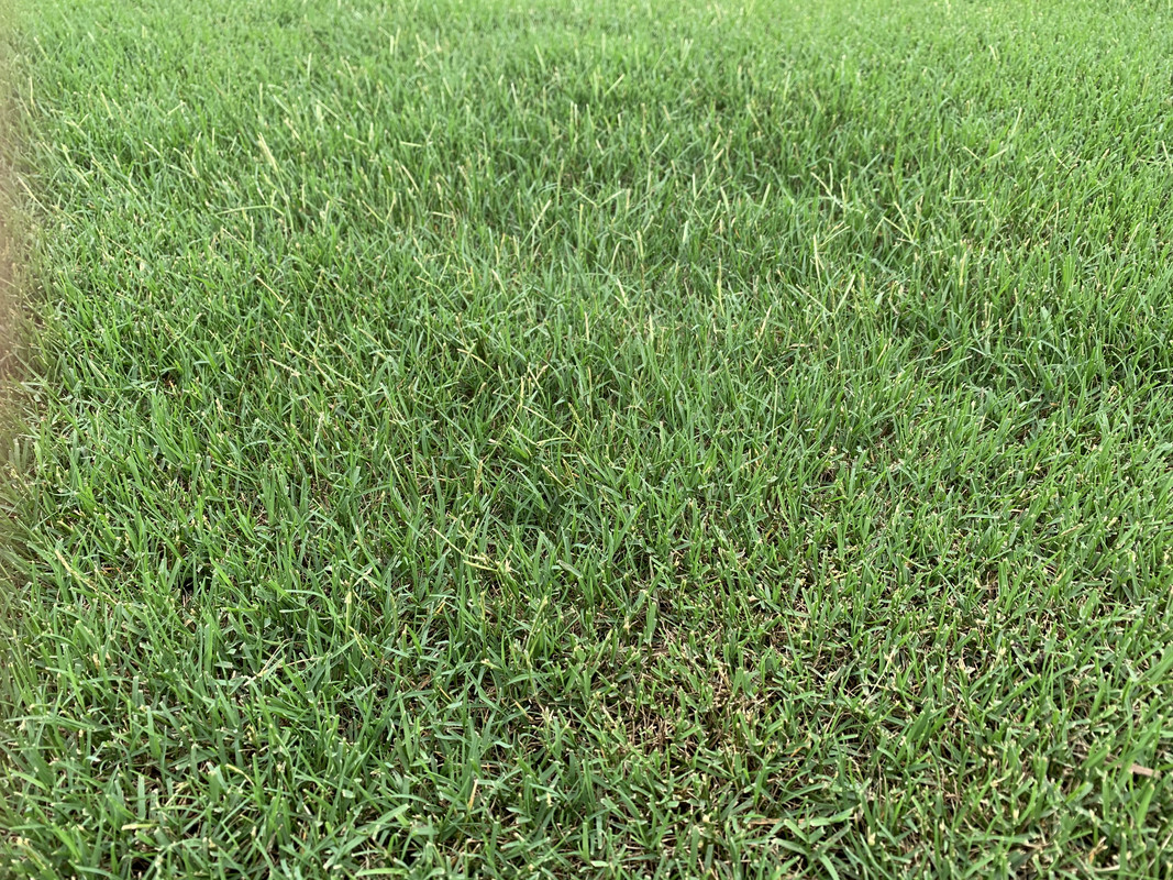 A6 D7 Ded8 01 E8 4 C95 8 Cae 0 B848 B8 Cc3 Cf Postimages