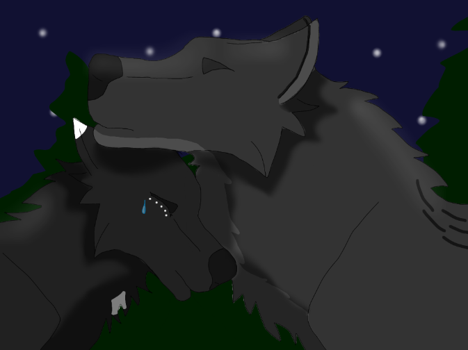 Night-and-Moonlight-2.png