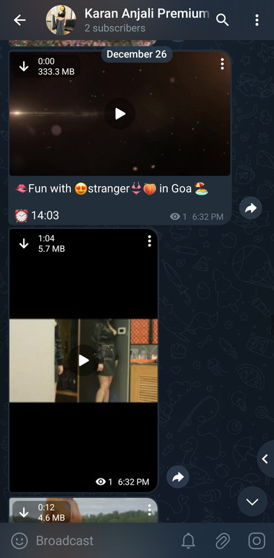 Screenshot_20241226_183747_Plus