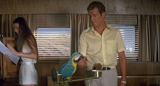 PARROT-FOR-YOUR-EYES-ONLY-8-A-FOTOR.jpg