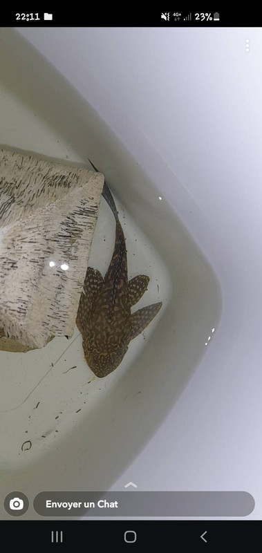 Screenshot_20220830-221137_Snapchat