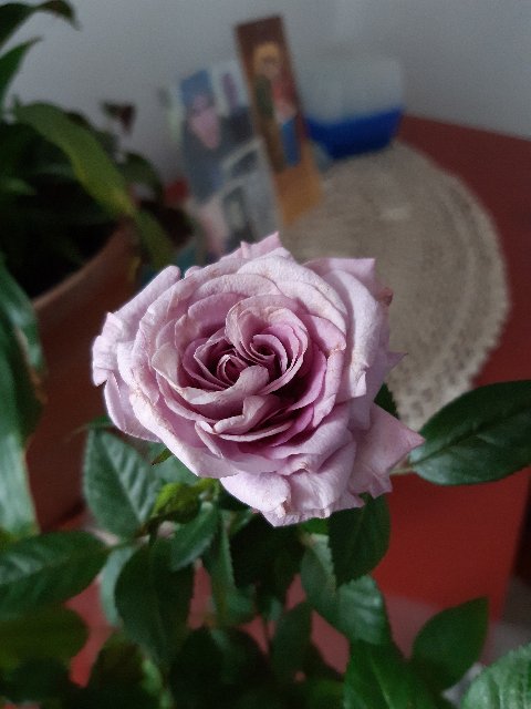 20200308-135015.jpg