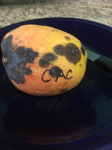 5D939D07-9A9C-46BA-935E-6C58FA925CA1