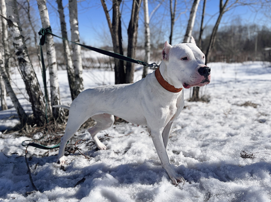 A35ECB70-81F8-4C58-87A4-C2F99BE08F0E