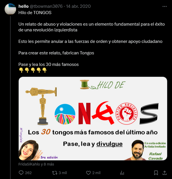 Screenshot-2025-07-30-at-16-39-54-hello-en-X-1-TONGO-Fot-grafo-Herido-El-8-nov-G-Gatica-tristement.png