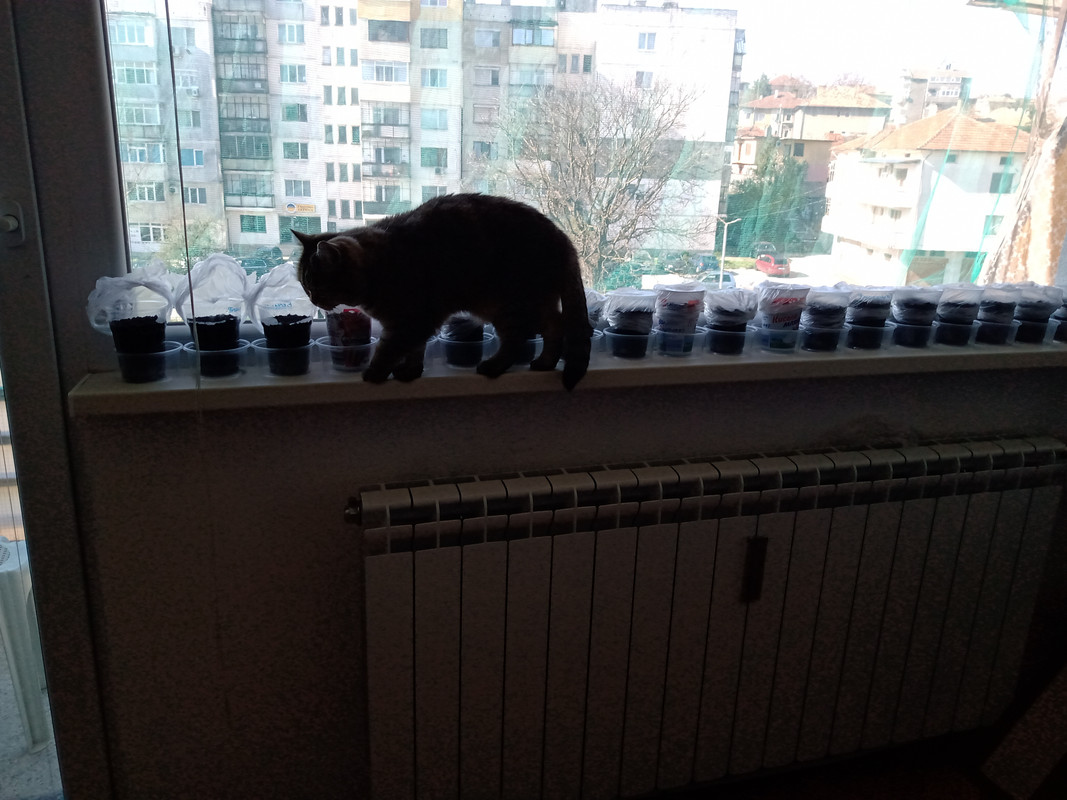 IMG_20230409_095209414