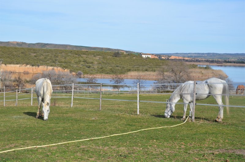 ALCUBILLETE-8-3-2015-TOLEDO - Paseando por España-1991/2016 (4)