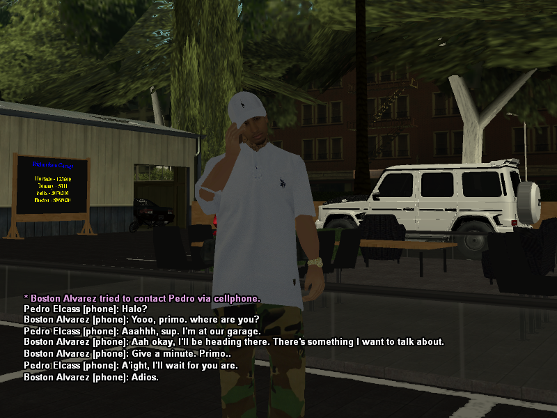 SS1.png
