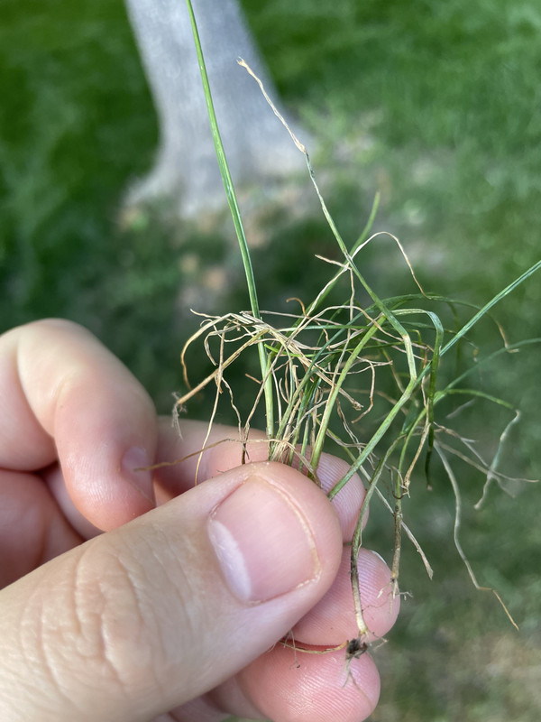 17912E18-4149-4247-A095-908615B2F070