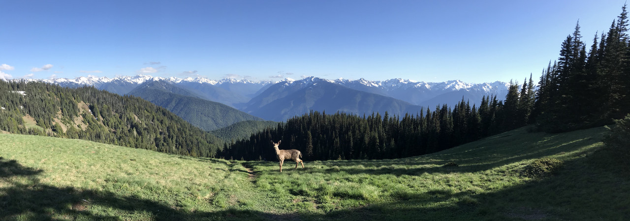 92-C11-FC2-8-EBF-4-AFE-A091-17-E804207-C