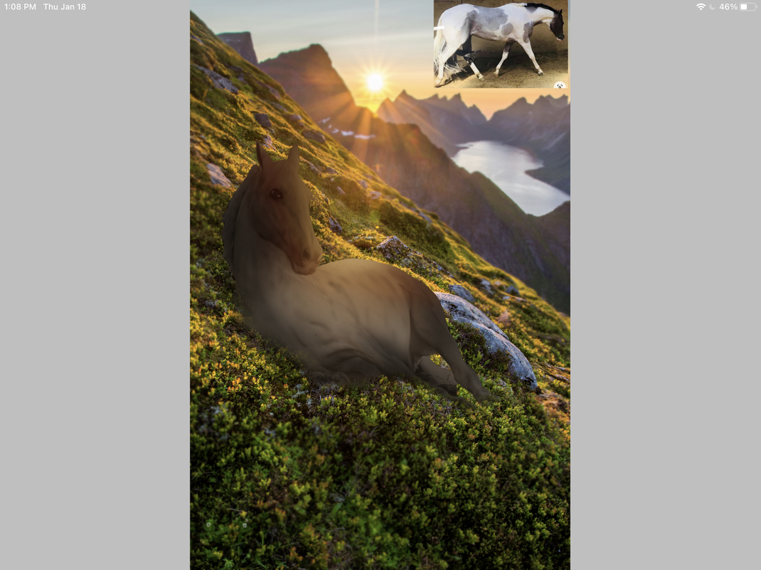 8565AF33-156B-414D-83FE-C73CB63A6219