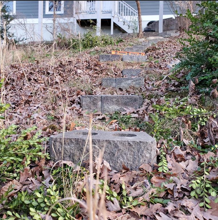 [Image: 20260104Stepsfrom_Concrete_Walkway.jpg]