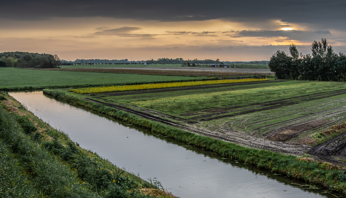 Fotografie