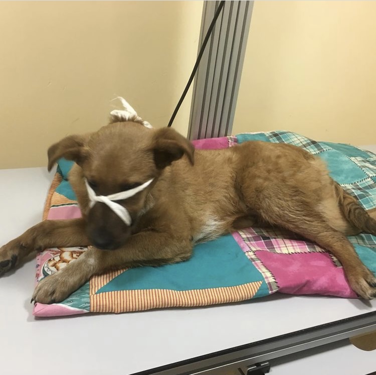 изображение_viber_2022-04-05_14-33-35-896