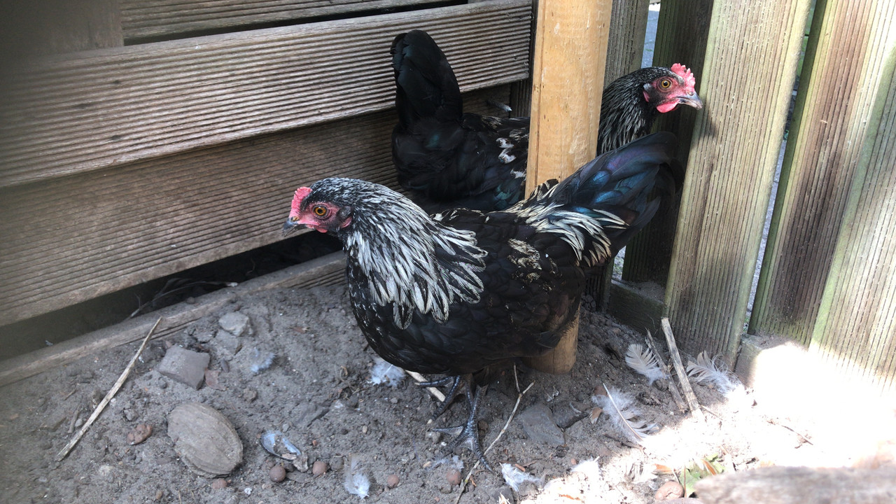 F5077192-0643-42E6-86F8-860EEC7D67CF