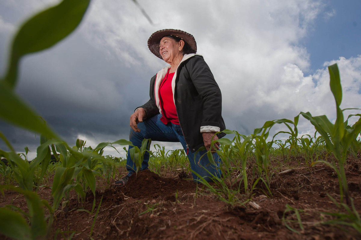 15 de octubre, Día Internacional de las Mujeres Rurales