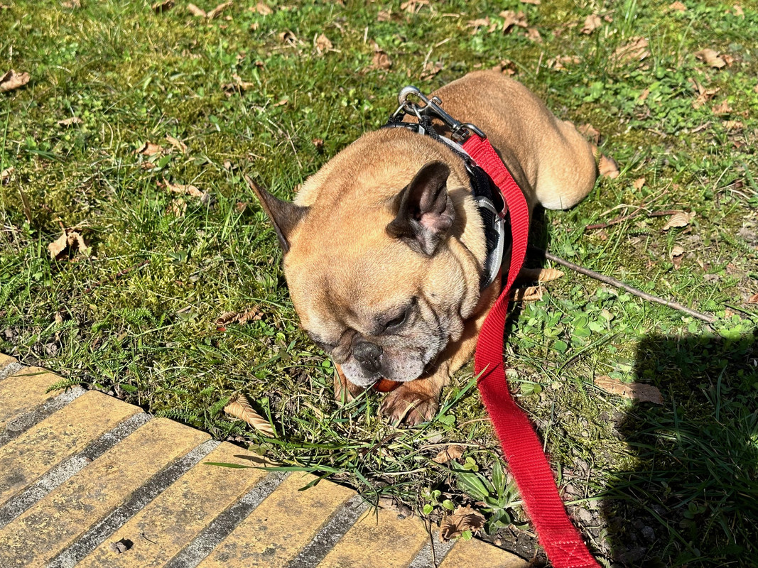 D37FE297-7CAB-4F95-82B5-453A00FDB705