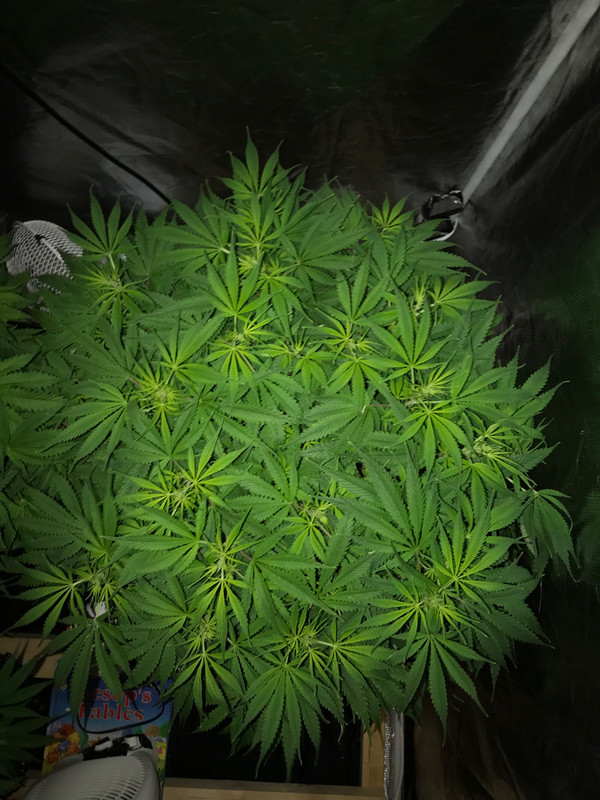 C1280447-051D-454E-BF85-2C914AB04502