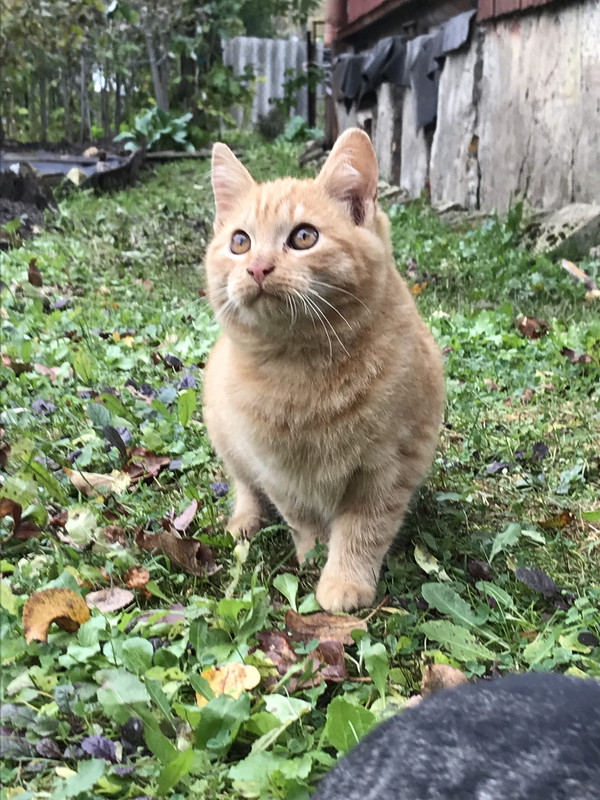 00251CBE-BDDB-40BC-9C66-99D0438D90B9