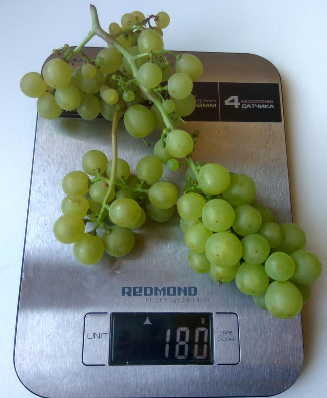 Циравас Аграа фото от 22.08.2018..