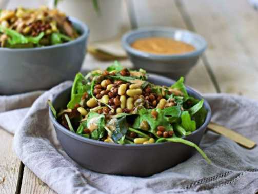 Are you searching for the best and High Protein Vegetarian Salads?