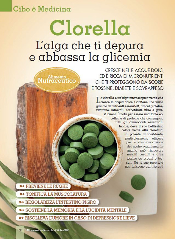 Alim Nat Ott 2023 (7)